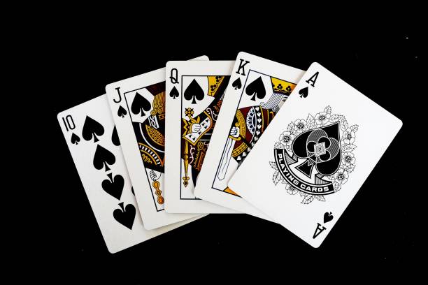 Istockphoto 2170005241 612x612